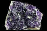 Purple Amethyst Cluster - Uruguay #66784-2